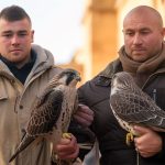 Смертельная гонка: к чему приведёт погоня за светом